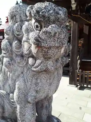 金蛇水神社の狛犬