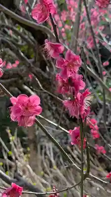  智積院(京都府)