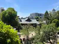 鳩森八幡神社の景色