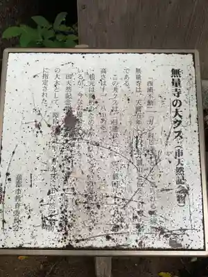 無量寺の自然