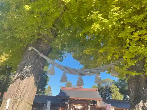 亀ケ池八幡宮のその他建物