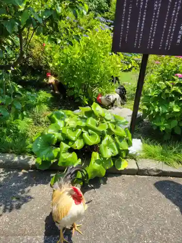観音寺(京都府)