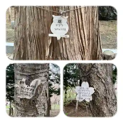 北海道神宮(北海道)