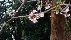 平野神社(京都府)