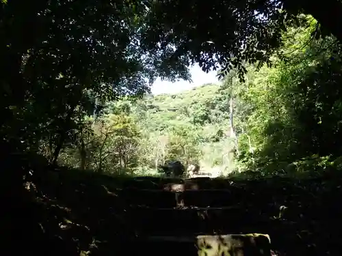 鵜戸神宮の自然