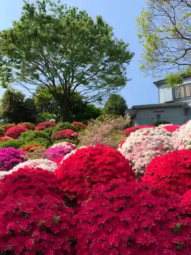 根津神社の庭園