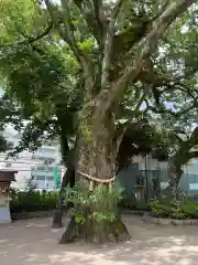 生瀬皇太神社(兵庫県)