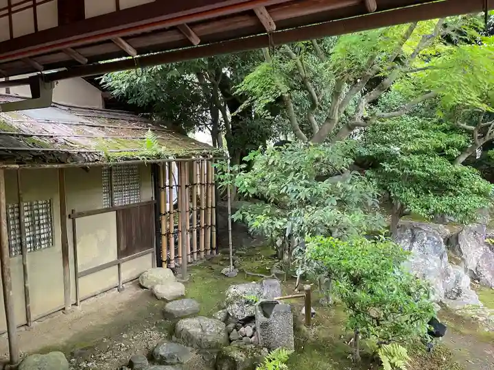 圓徳院(京都府)