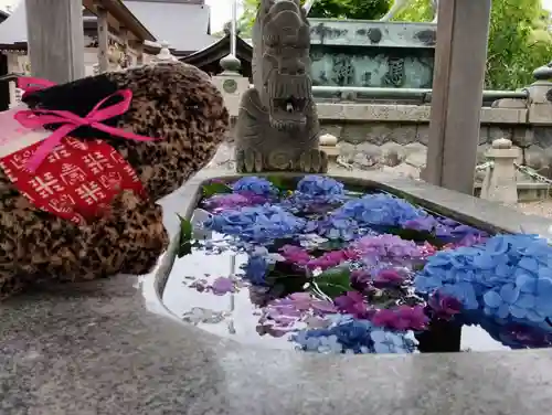 龍城神社の手水舎