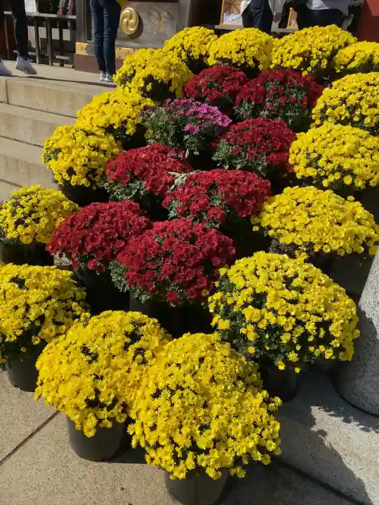 大山阿夫利神社(神奈川県)
