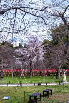 平野神社(京都府)