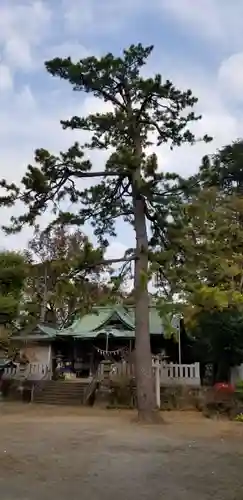 大曽根八幡神社の自然
