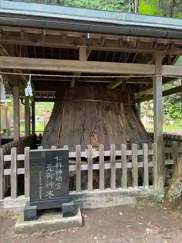 仁科神明宮の自然