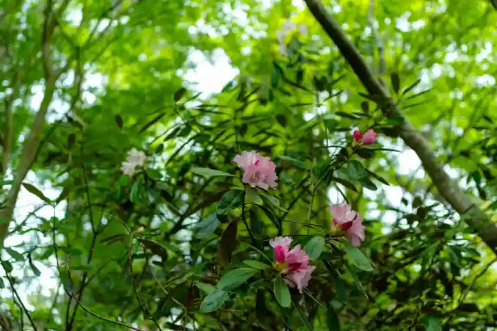 水若酢神社(島根県)