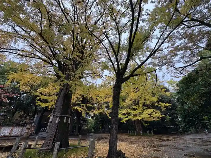 赤坂氷川神社(東京都)