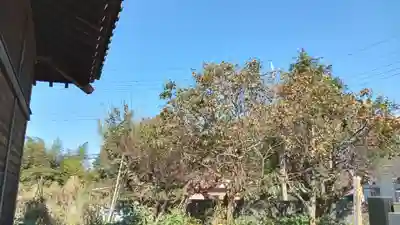 観行院(千葉県)