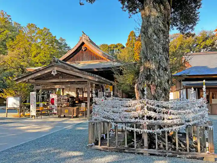 井伊谷宮の本殿・本堂