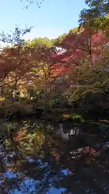 圓光寺(京都府)