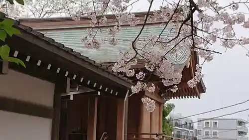 中村八幡宮の本殿・本堂