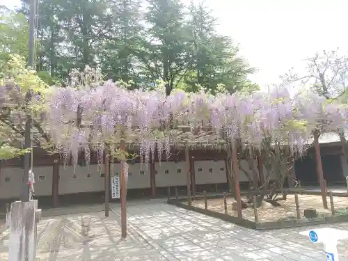 笠間稲荷神社(茨城県)