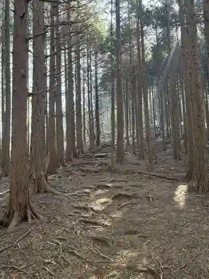 白髭神社(愛知県)