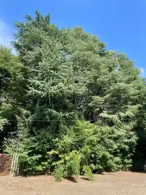 金毘羅神社(東京都)