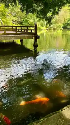 高鴨神社(奈良県)