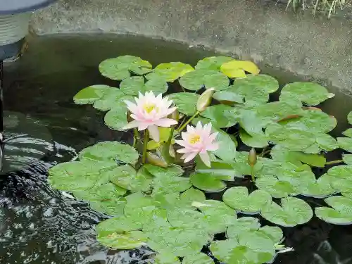 放生寺の庭園