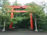 冠稲荷神社(群馬県)