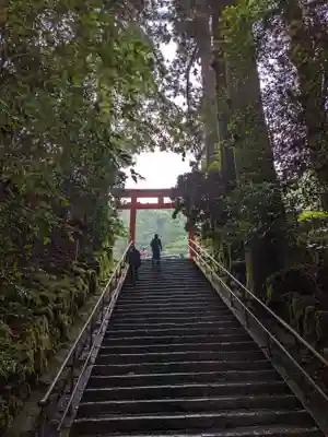 箱根神社(神奈川県)