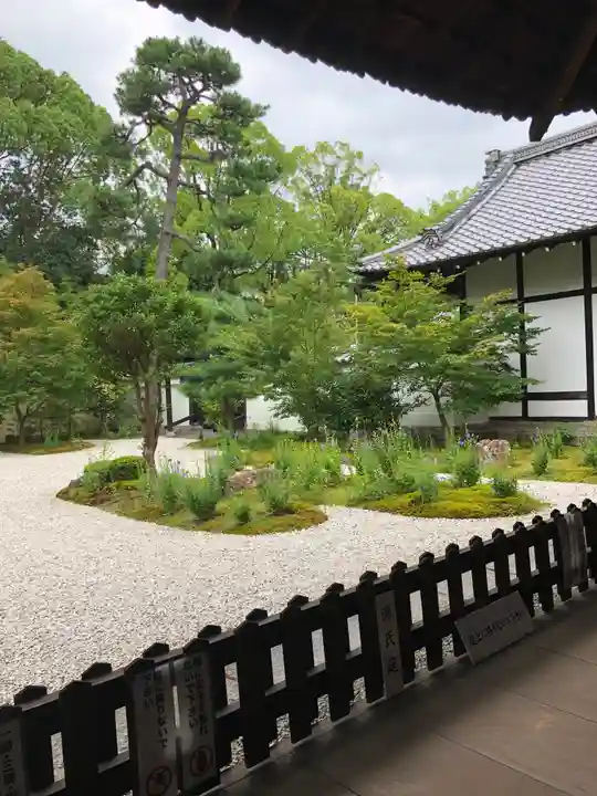 廬山寺(廬山天台講寺)の庭園