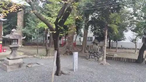 倉掛神社(京都府)