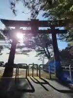 海津見神社(桂浜龍王宮)の鳥居
