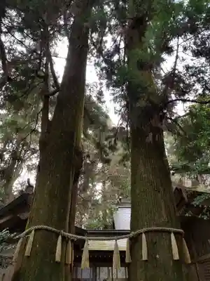 高千穂神社(宮崎県)
