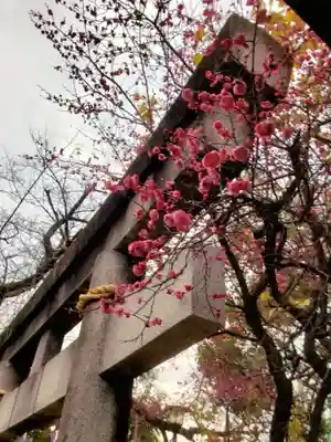 牛天神北野神社(東京都)