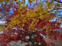 鶏足寺の{uncategorized: "未分類", other: "その他", undefined: "問題あり", building: "その他建物", grave: "お墓", sacred_gate: "鳥居", guardian: "狛犬", statue: "像", buddha: "仏像", history: "歴史", nature: "自然", garden: "庭園", animal: "動物", pagoda: "塔", temizu: "手水舎", mountain_gate: "山門・神門", sanctuary: "本殿・本堂", subordinate: "末社・摂社", art: "芸術", scenery: "景色", jizo: "地蔵", ema: "絵馬", goshuin: "御朱印", omikuji: "おみくじ", items: "授与品その他", amulet: "お守り", goshuincho: "御朱印帳", eats: "食事", festival: "お祭り", votive_dance: "神楽", shichigosan: "七五三参", wedding: "結婚式", experience: "体験その他", initially: "初詣", around: "周辺", anti_infection: "感染症対策"}