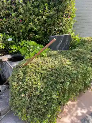 星谷寺(神奈川県)