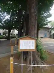 千住神社の建物その他