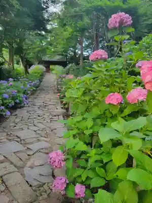 本光寺(愛知県)