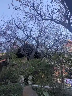 牛天神北野神社(東京都)