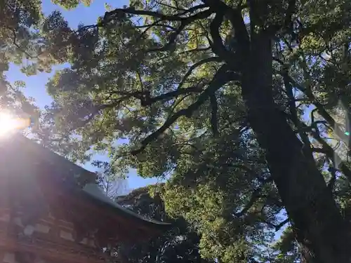 武蔵一宮氷川神社の自然