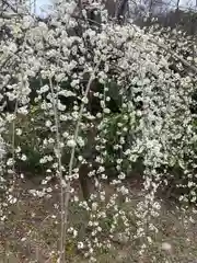 岩津天満宮(愛知県)