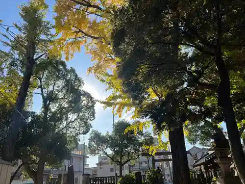 今井神社(千葉県)