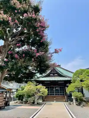 円明寺(静岡県)