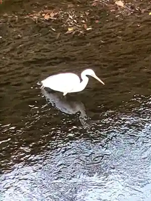 下高井戸八幡神社(東京都)
