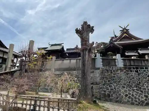 羽黒神社(岡山県)