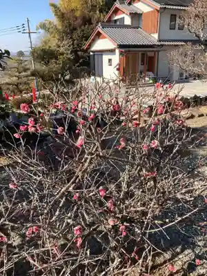 東光寺(兵庫県)