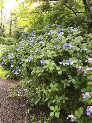 高幡不動尊　金剛寺(東京都)