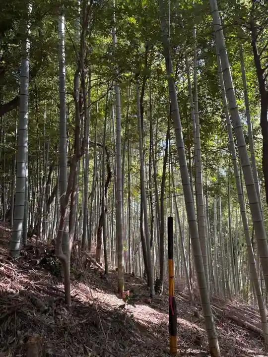 大徳院(岐阜県)