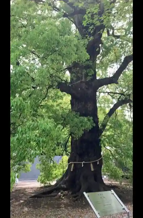 上野東照宮の{uncategorized: "未分類", other: "その他", undefined: "問題あり", building: "その他建物", grave: "お墓", sacred_gate: "鳥居", guardian: "狛犬", statue: "像", buddha: "仏像", history: "歴史", nature: "自然", garden: "庭園", animal: "動物", pagoda: "塔", temizu: "手水舎", mountain_gate: "山門・神門", sanctuary: "本殿・本堂", subordinate: "末社・摂社", art: "芸術", scenery: "景色", jizo: "地蔵", ema: "絵馬", goshuin: "御朱印", omikuji: "おみくじ", items: "授与品その他", amulet: "お守り", goshuincho: "御朱印帳", eats: "食事", festival: "お祭り", votive_dance: "神楽", shichigosan: "七五三参", wedding: "結婚式", experience: "体験その他", initially: "初詣", around: "周辺", anti_infection: "感染症対策"}